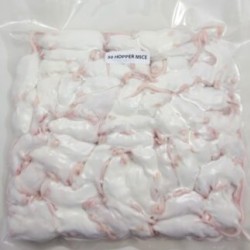 DONDURULMUŞ VEYA CANLI FARE 10 lu