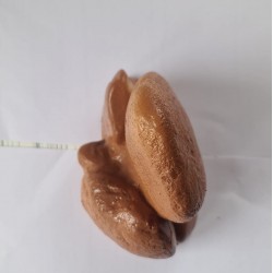 sürüngen kaya orta boy 16x16 sürüngen kaya orta boy 16x16