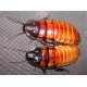 Madagaskar Hamam Böceği (0,5-1 cm)