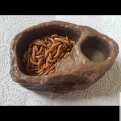 SÜRÜNGEN YEM VE SU KABI KALSİYUMLU