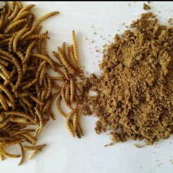 Un Kurdu Kurutulmuş Toz Hali 250 gr