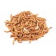 Un Kurdu 2-3 cm boy net: 50 gr 500 Adet