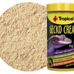TROPİCAL GECKO CREAM 50GR İNCİRLİ