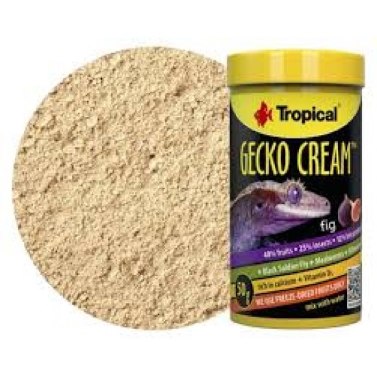 TROPİCAL GECKO CREAM 50GR İNCİRLİ