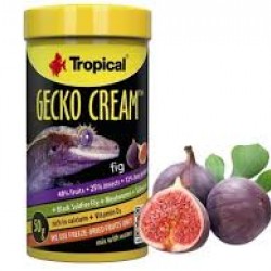 TROPİCAL GECKO CREAM 50GR İNCİRLİ