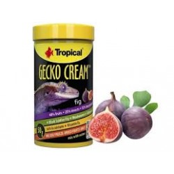 TROPİCAL GECKO CREAM 50GR İNCİRLİ