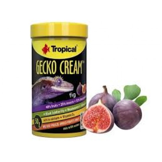 TROPİCAL GECKO CREAM 50GR İNCİRLİ