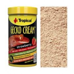 TROPİCAL GECKO CREAM 50GR ÇİLEKLİ