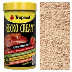 TROPİCAL GECKO CREAM 50GR ÇİLEKLİ