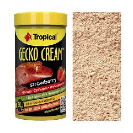 TROPİCAL GECKO CREAM 50GR ÇİLEKLİ