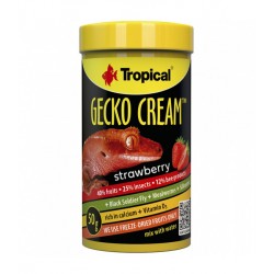 TROPİCAL GECKO CREAM 50GR ÇİLEKLİ