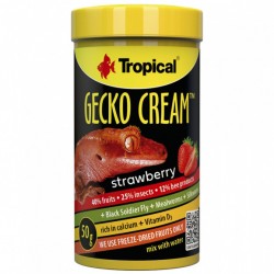 TROPİCAL GECKO CREAM 50GR ÇİLEKLİ